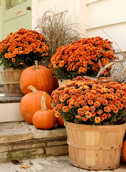 Joy of Autumn decor