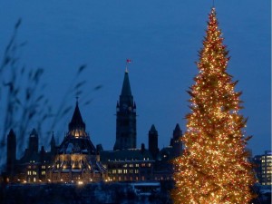 Christmas Tree, Ottawa Capital