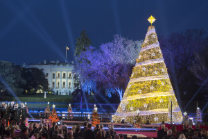 Christmas Tree. Capital Hill