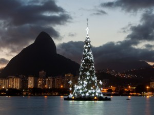 Christmas Tree.Brazil