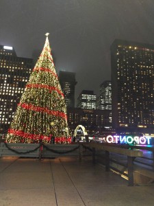 Christmas Tree.Toronto