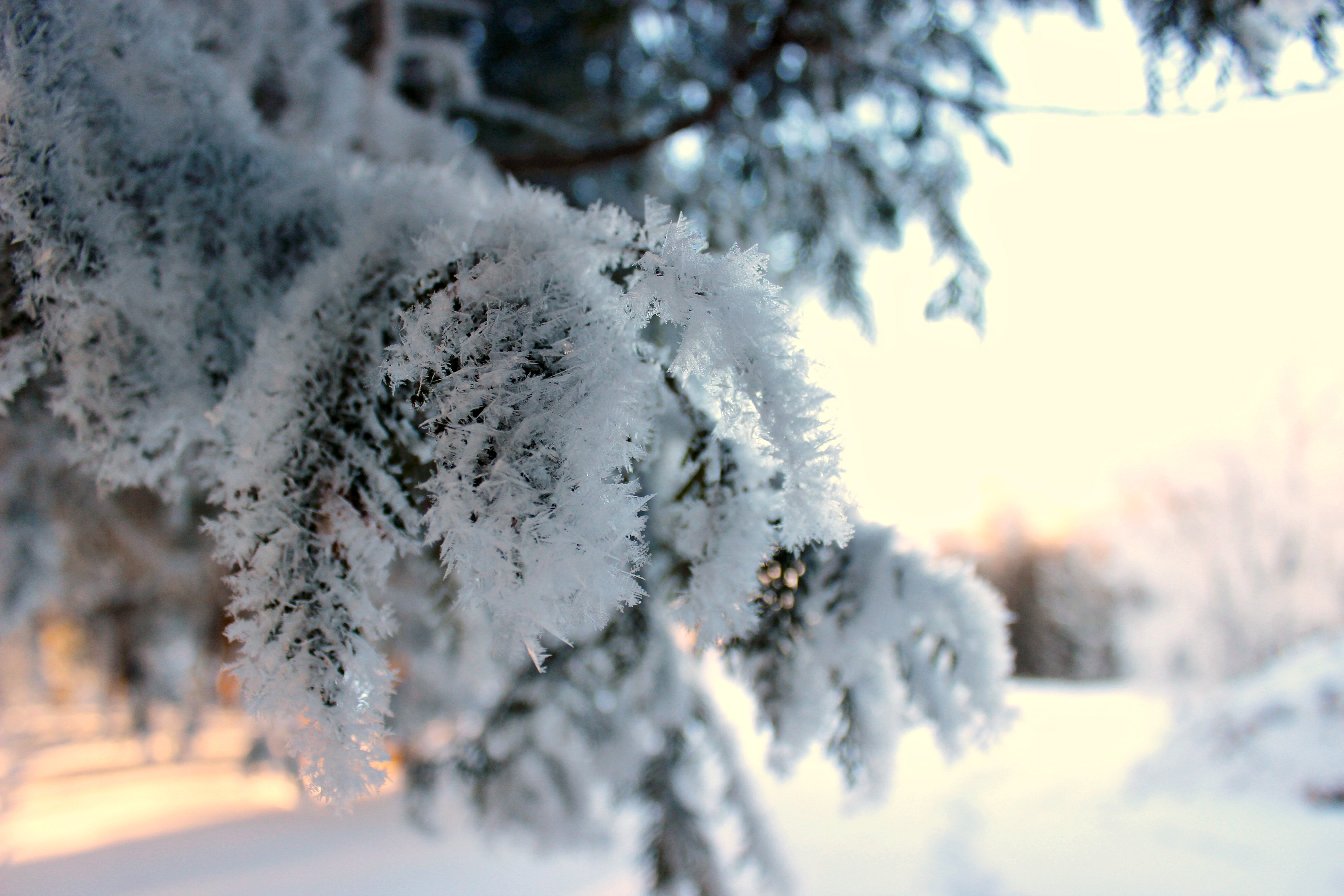 Let It Snow! - Travel Portugal Blog