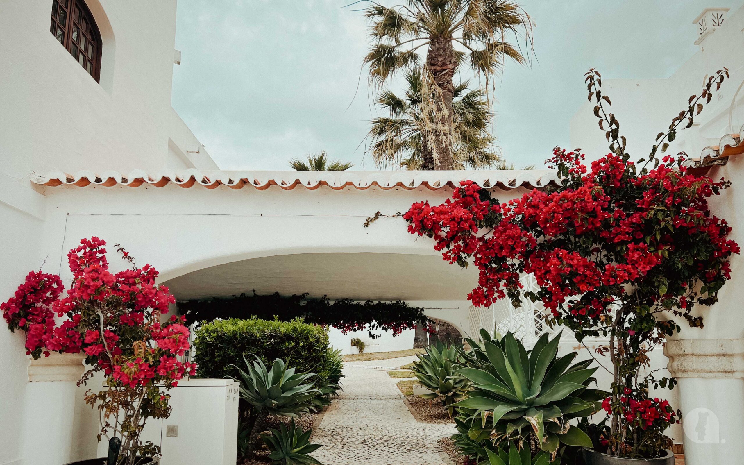 Driveway with white archway and pink flowering trees.