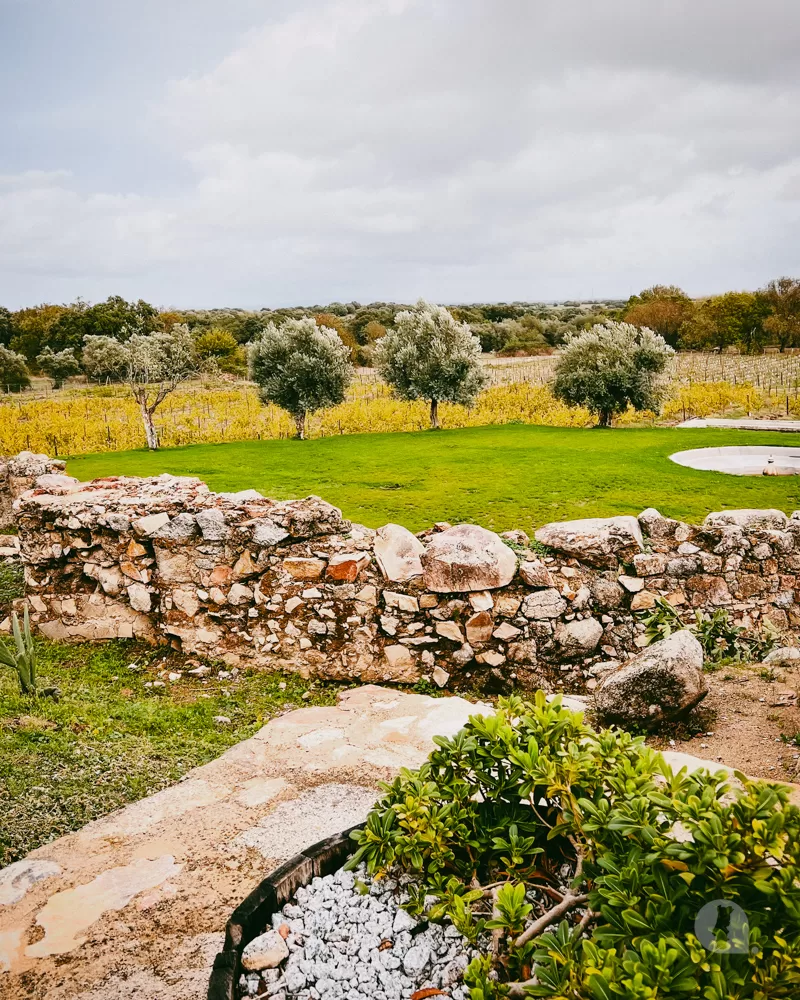 Alentejo Wine region