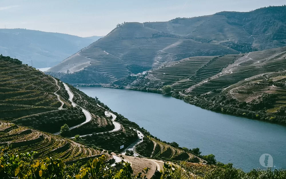 Douro Valley