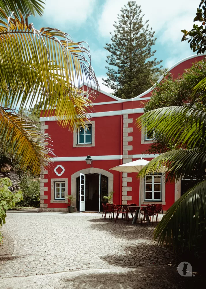 Red building behind palm tree leaves.